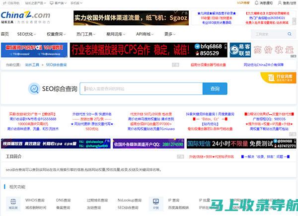 全面解析站长工具官网查询障碍原因，专业解决方案助您解决困扰
